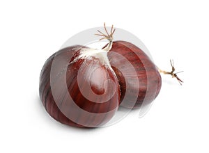 Fresh sweet edible chestnuts on white background