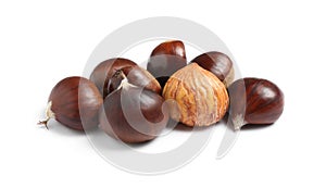 Fresh sweet edible chestnuts on white background