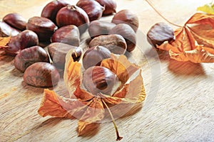 Fresh sweet edible chestnuts on a wooden table. Copy space for text