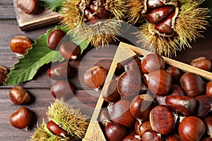 Fresh sweet edible chestnuts on wooden table, flat lay