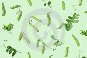 Fresh sweet green pea pods with leaves, pea sprouts. Pattern from peas and green shoots