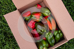 Fresh sweet multicolored pepper in a box. Seasonal harvest