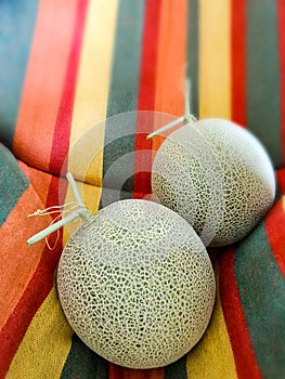 Fresh sweet organic  Cantaloupe fruits on colorful table cloth