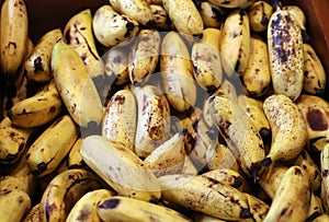 Fresh sweet plantains fried for breakfast