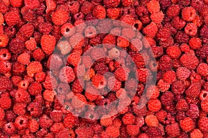 Fresh and sweet raspberries background