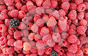 Fresh and sweet raspberries background