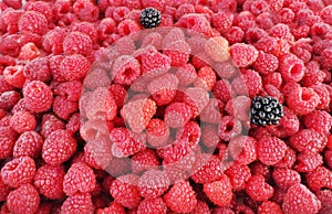 Fresh and sweet raspberries background