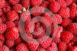 Fresh and sweet raspberries background