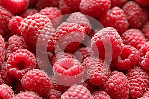 Fresh and sweet raspberries background. Selective focus