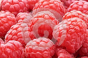 Fresh and sweet raspberry background. Close-up