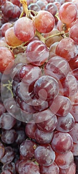 fresh sweet red grapes in supermarket baskets