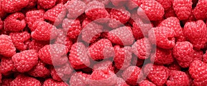 Fresh sweet ripe raspberries as background, closeup