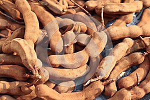 Fresh sweet ripe tamarind