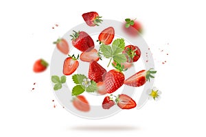 Fresh sweet strawberry berries with flower and leaves flying falling isolated on white background