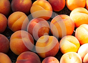 Fresh sweet tasty and juicy peaches fruits on box. Fruit harvest.