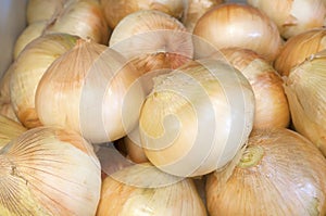 Fresh, Sweet Walla Walla Onions in a bin on display in a Farmers Market