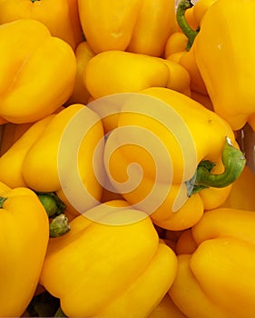 Fresh sweet Yellow Bell Peppers at the market background