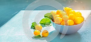 Fresh sweet yellow cherry plums with drops in blue bowl. Beautiful sun light, image banner format