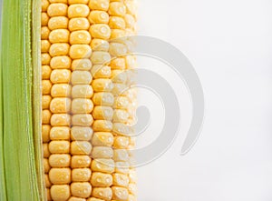 Fresh sweet yellow corn