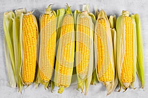 Fresh sweetcorn cobs on the textured grey table