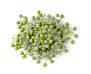 Fresh Szetchwan pepper in on white background