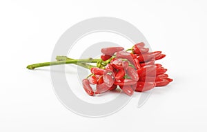 Fresh tabasco peppers