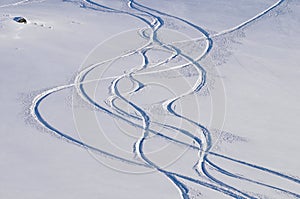 Fresh tacks after great freeride photo