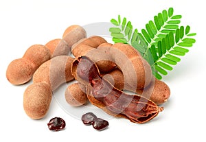 Fresh tamarind fruits and leaves isolated on the white background