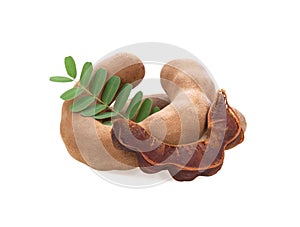 Fresh tamarind fruits and leaves isolated white background