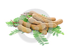 Fresh tamarind with leaves isolated on white photo