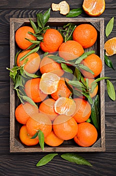 Fresh tangerine clementine with leaves in wooden tray on dark wooden background photo