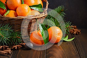 Fresh tangerine clementines with spices on dark wooden background, Christmas concept.