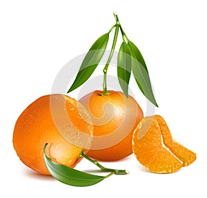 Fresh tangerine fruits with green leaves