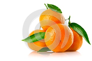 Fresh tangerine fruits with green leaves isolated