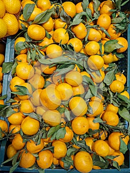 Fresh tangerines with green leaves lie in a box in a store for sale