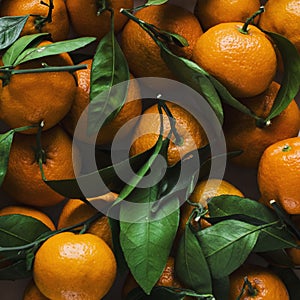 Fresh tangerines with leaves background