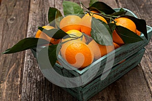 Fresh tangerines with leaves in the basket