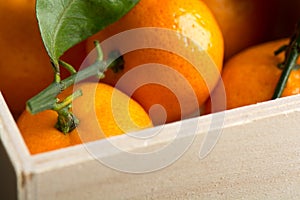 Fresh tangerines with leaves in wooden box on the table