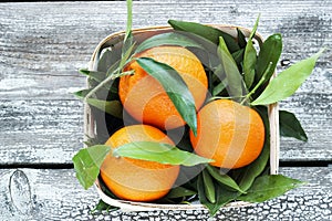 Fresh tangerines mandarins in a wicker basket