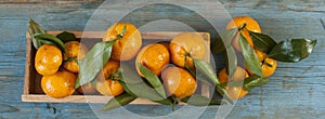 Fresh tangerines in an old box with leaves