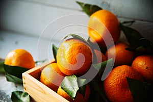 Fresh tangerines in an old box with leaves. On wooden background. Free space for text . Top view