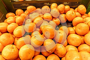 Fresh tangerines in the store close-up. Crates full of ripe mandarin and clementines oranges for sale at the counter