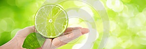 Fresh tangy lime in hand, variety of limes on blurred background with space for text