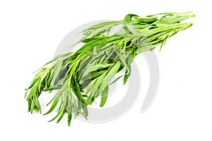 Fresh tarragon grass herb isolated on white background. Macro photo
