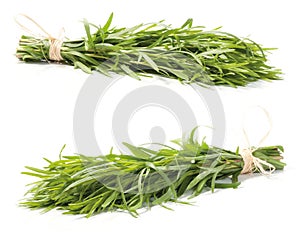 Fresh tarragon herb