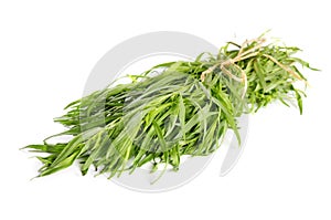 Fresh tarragon herb