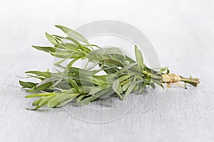 Fresh tarragon herb