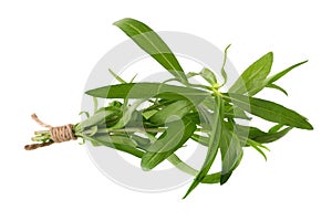 Fresh tarragon herbs, Tarragon herbs close up isolated on white