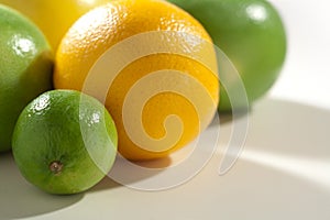 Fresh taste citrus fruits