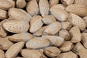 Fresh and tasty almond nuts background, background for your culinary creations